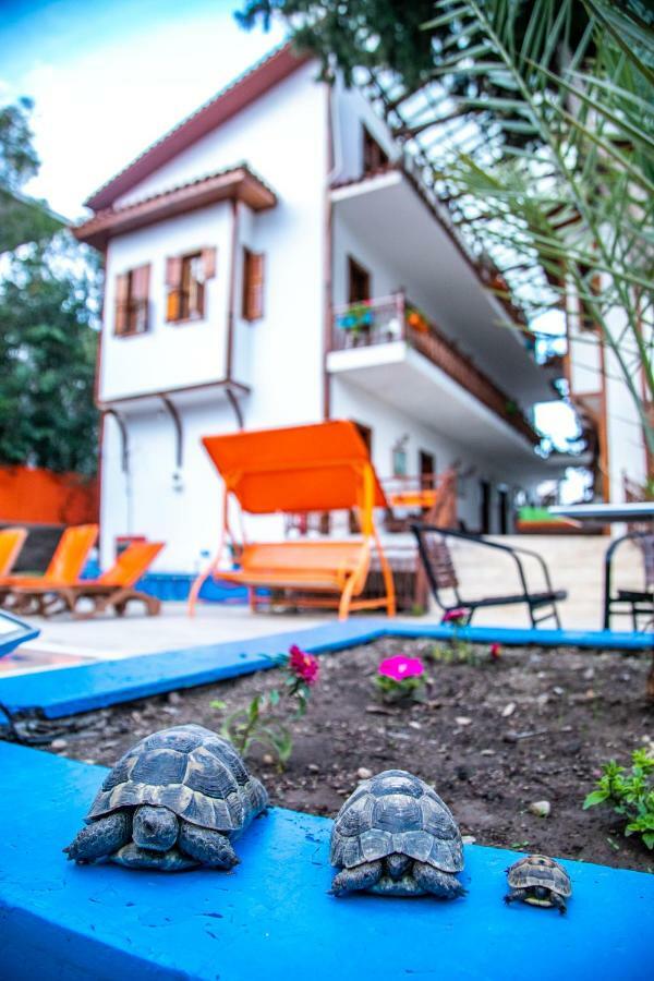 Kaliptus Hotel เกเมร์ ภายนอก รูปภาพ